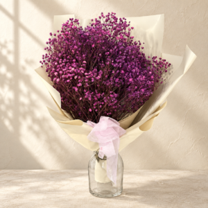 F381 Imported Purple-Pink Baby’s Breath Bouquet/进口紫粉色满天星花束